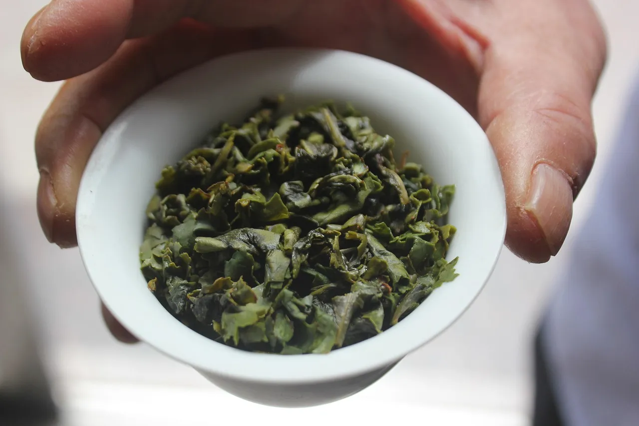 A hand holding a small bowl of rolled green Tieguanyin oolong